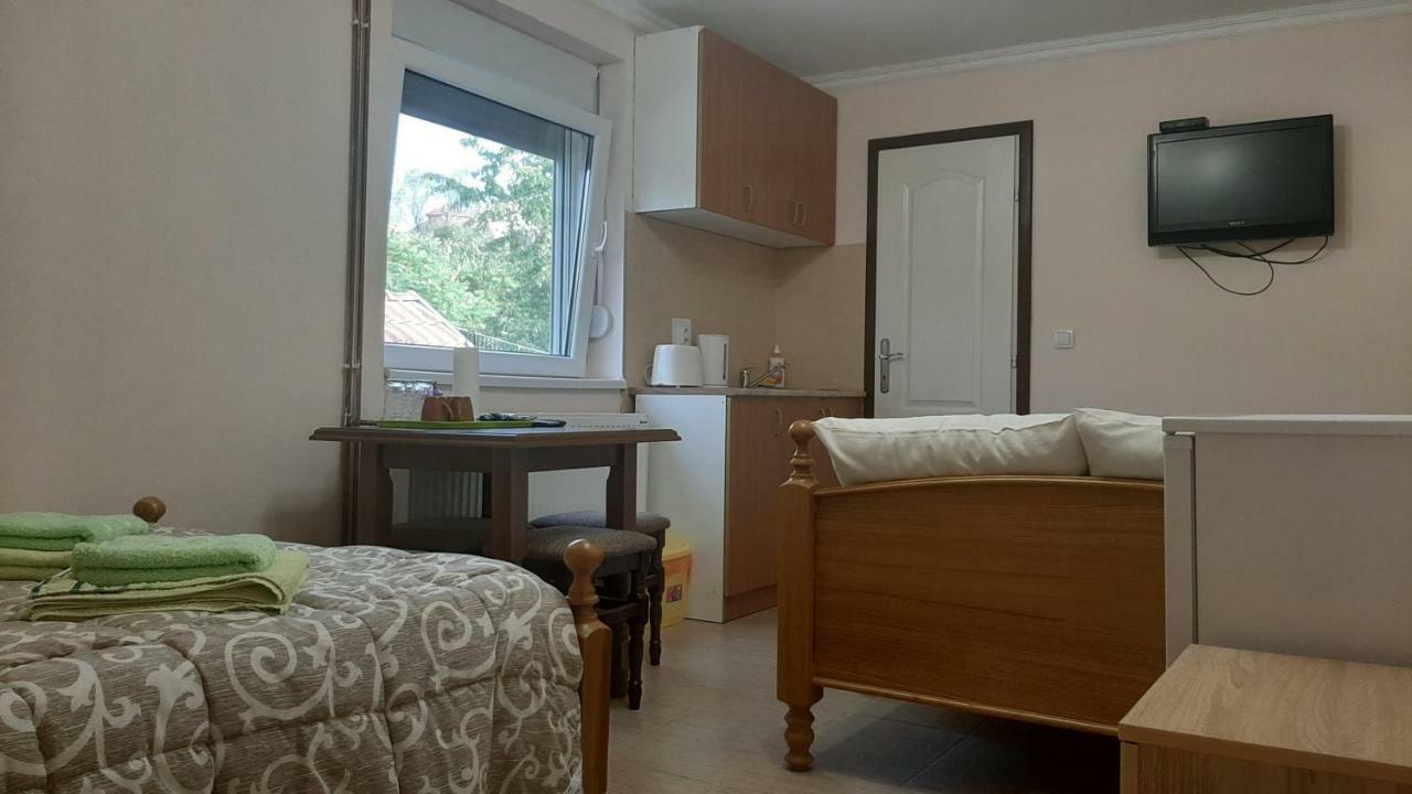 Aleksandar Vila BR Vrdnik Oda fotoğraf